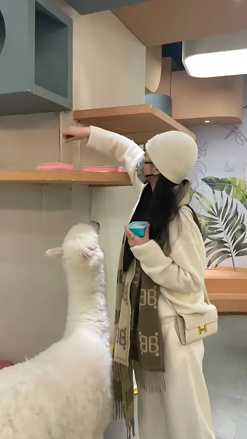 国产在线高清理伦片A_女人与公拘交酡过程_国产精品视频一区二区三区